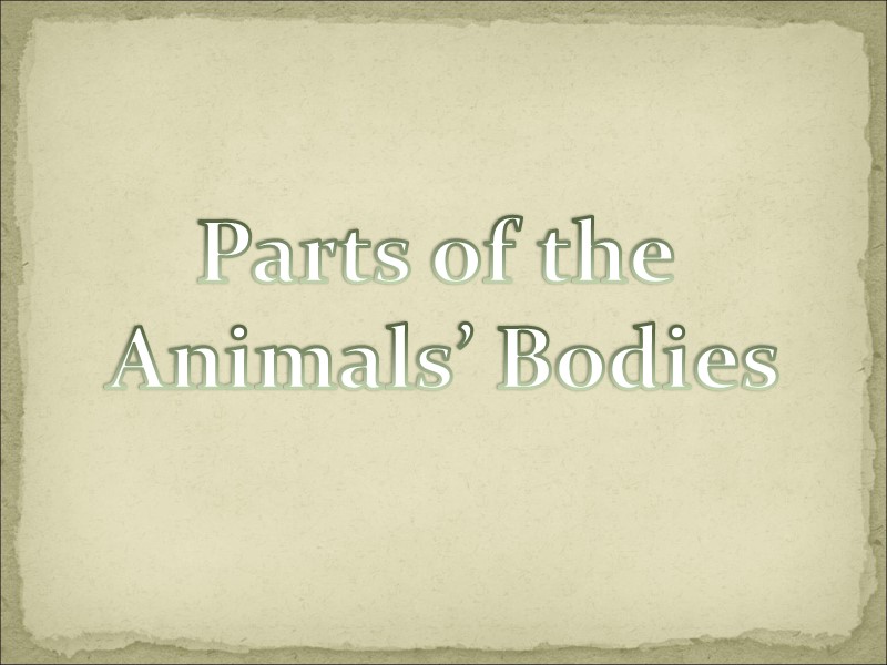 Parts of the  Animals’ Bodies